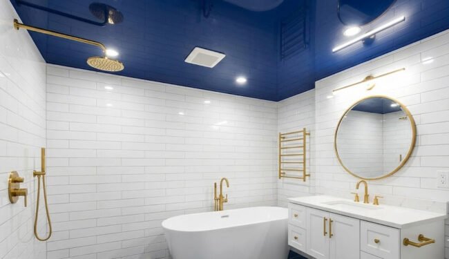 ფრანგული ჭერი აბაზანაში