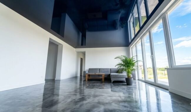 შავი ფრანგული გასაჭიმი ჭერი